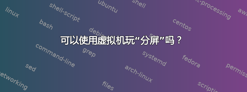 可以使用虚拟机玩“分屏”吗？