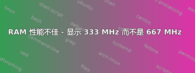 RAM 性能不佳 - 显示 333 MHz 而不是 667 MHz 