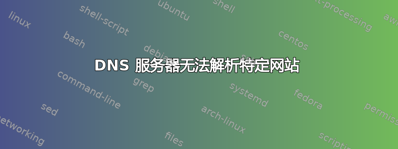 DNS 服务器无法解析特定网站