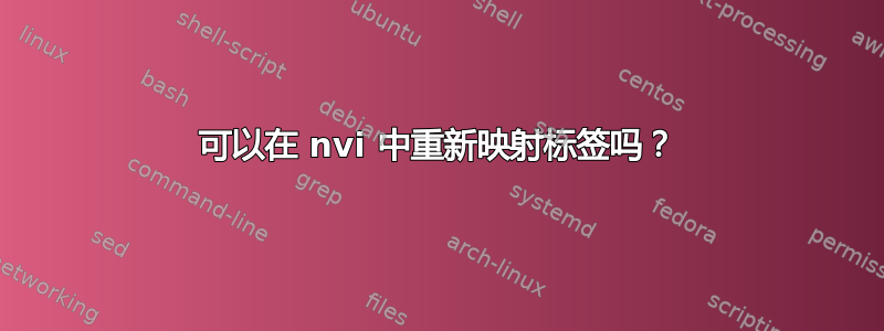 可以在 nvi 中重新映射标签吗？