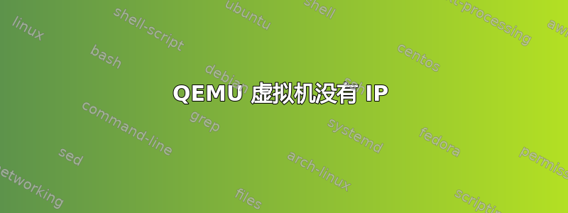 QEMU 虚拟机没有 IP