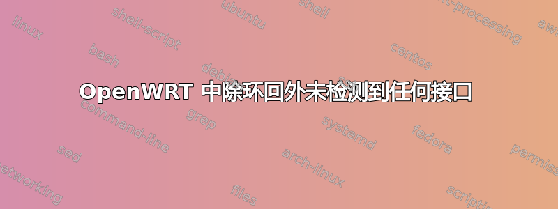 OpenWRT 中除环回外未检测到任何接口