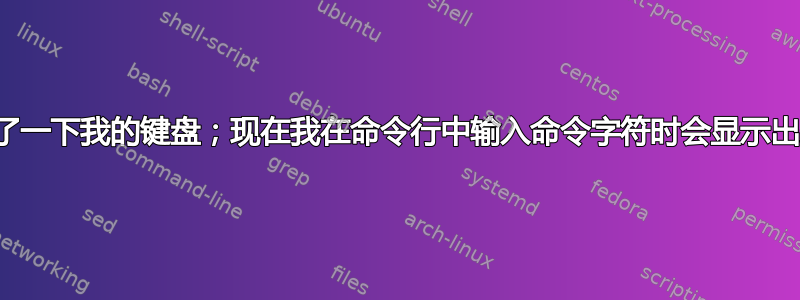 碰了一下我的键盘；现在我在命令行中输入命令字符时会显示出来