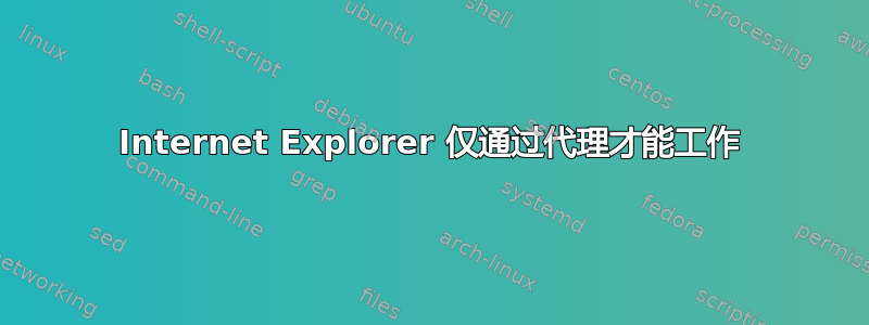 Internet Explorer 仅通过代理才能工作