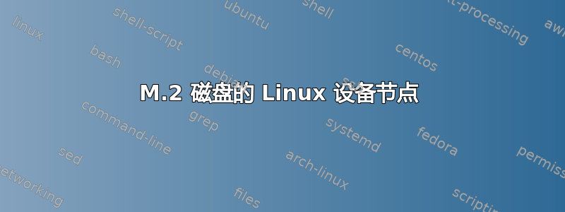 M.2 磁盘的 Linux 设备节点