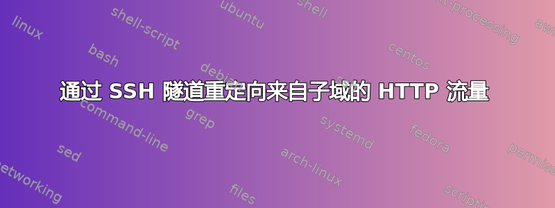 通过 SSH 隧道重定向来自子域的 HTTP 流量