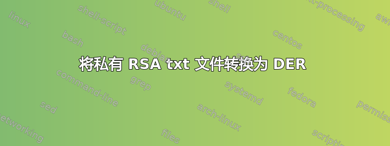 将私有 RSA txt 文件转换为 DER