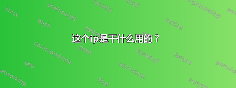 这个ip是干什么用的？