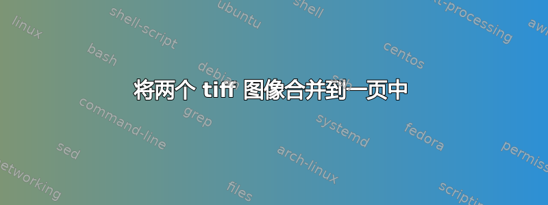 将两个 tiff 图像合并到一页中