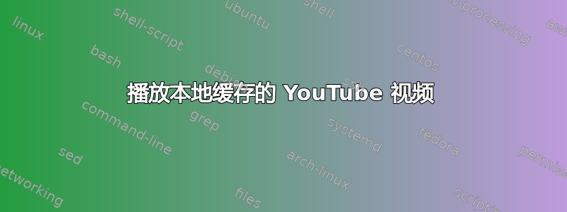 播放本地缓存的 YouTube 视频