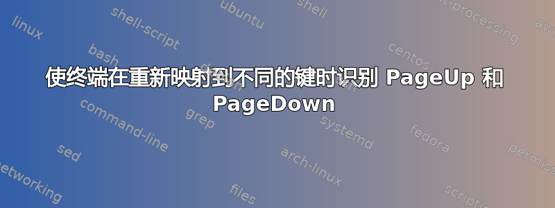 使终端在重新映射到不同的键时识别 PageUp 和 PageDown