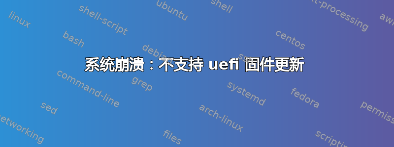 系统崩溃：不支持 uefi 固件更新