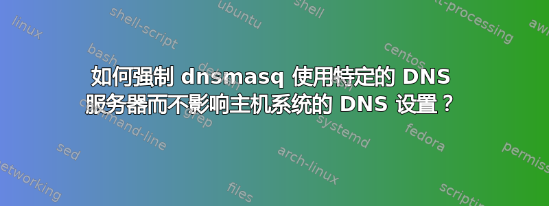 如何强制 dnsmasq 使用特定的 DNS 服务器而不影响主机系统的 DNS 设置？