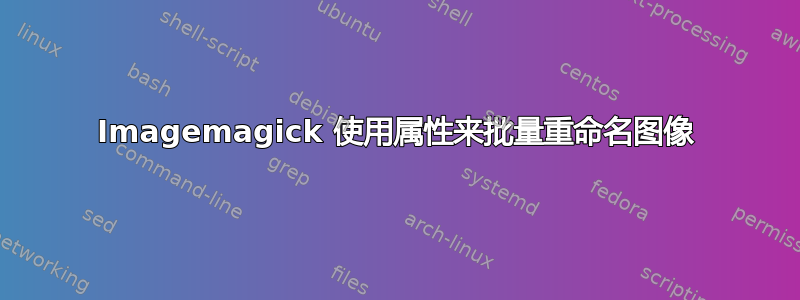 Imagemagick 使用属性来批量重命名图像