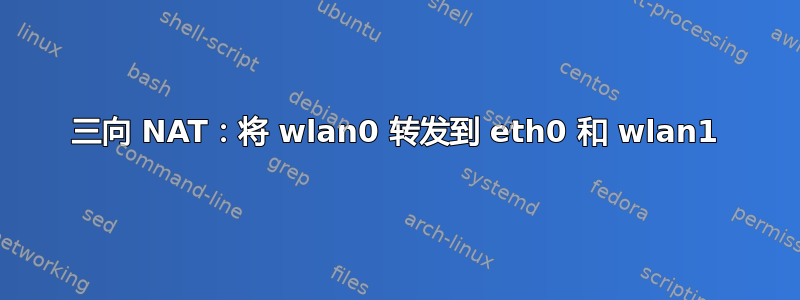 三向 NAT：将 wlan0 转发到 eth0 和 wlan1