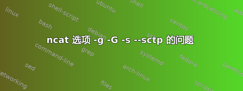 ncat 选项 -g -G -s --sctp 的问题