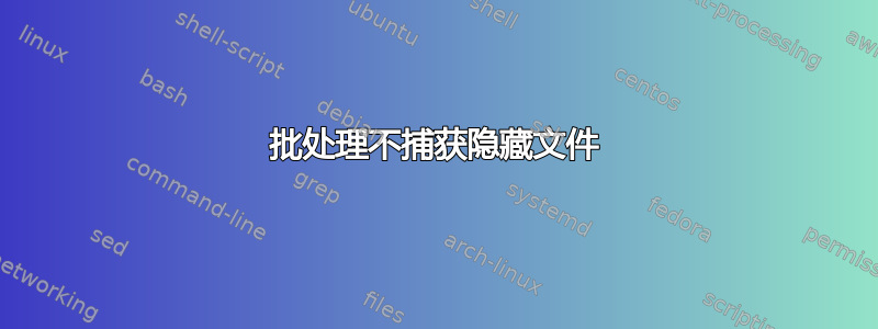 批处理不捕获隐藏文件