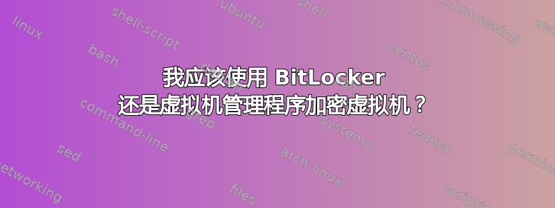 我应该使用 BitLocker 还是虚拟机管理程序加密虚拟机？