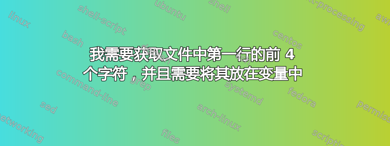 我需要获取文件中第一行的前 4 个字符，并且需要将其放在变量中