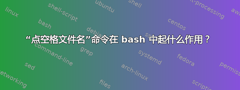 “点空格文件名”命令在 bash 中起什么作用？