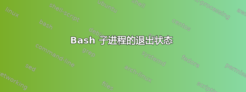 Bash 子进程的退出状态