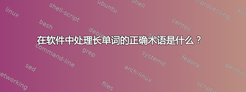 在软件中处理长单词的正确术语是什么？ 