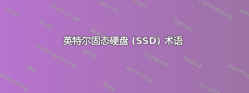 英特尔固态硬盘 (SSD) 术语