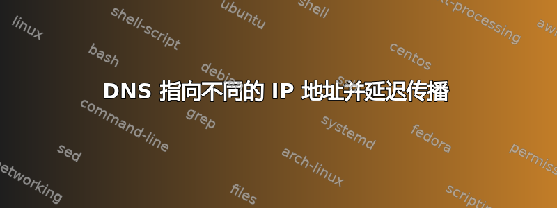 DNS 指向不同的 IP 地址并延迟传播