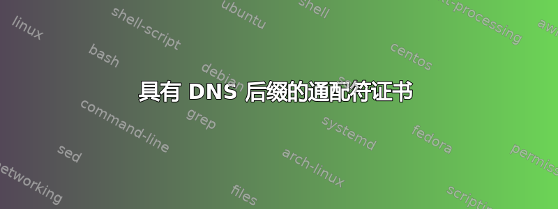 具有 DNS 后缀的通配符证书