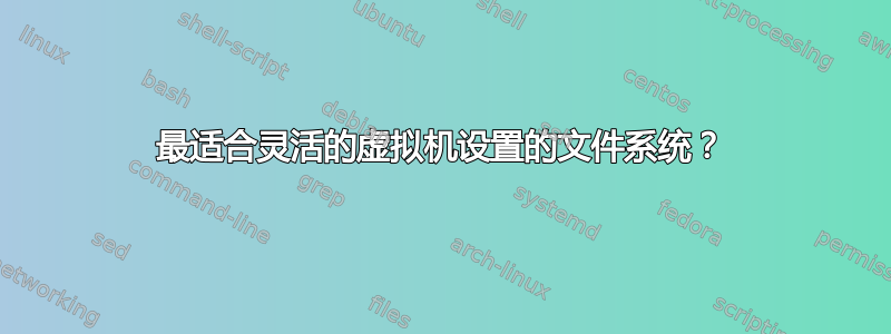 最适合灵活的虚拟机设置的文件系统？