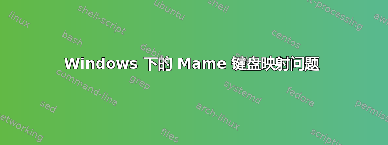 Windows 下的 Mame 键盘映射问题