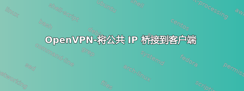 OpenVPN-将公共 IP 桥接到客户端