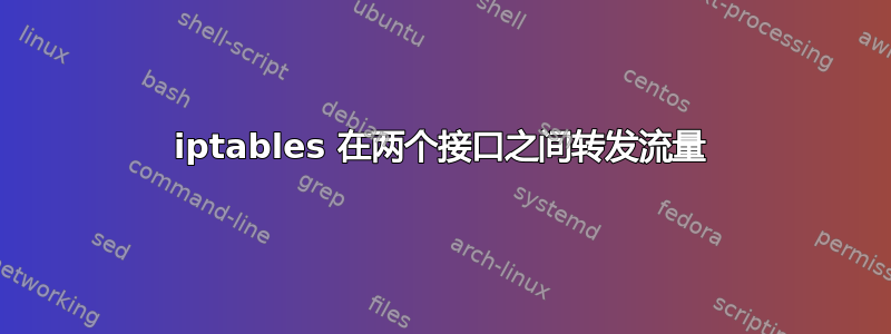 iptables 在两个接口之间转发流量