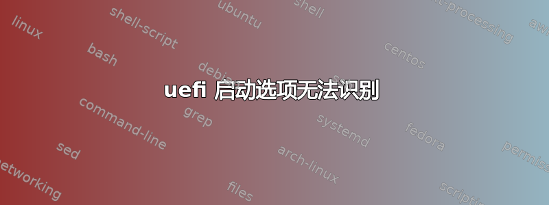 uefi 启动选项无法识别