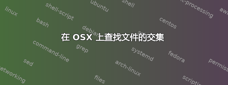 在 OSX 上查找文件的交集