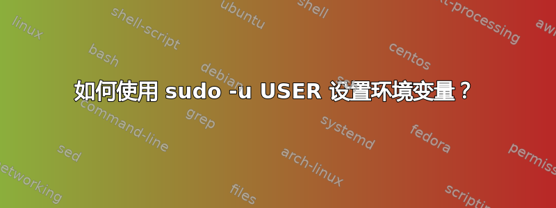 如何使用 sudo -u USER 设置环境变量？