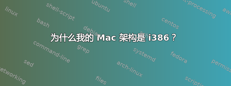 为什么我的 Mac 架构是 i386？