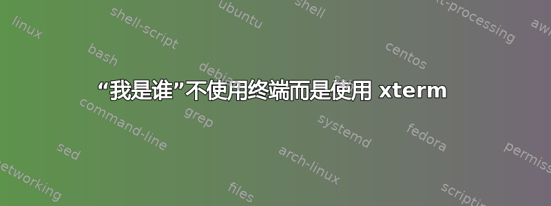 “我是谁”不使用终端而是使用 xterm