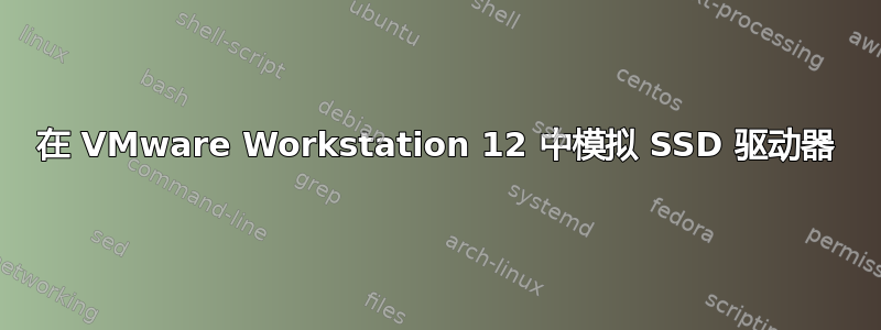 在 VMware Workstation 12 中模拟 SSD 驱动器