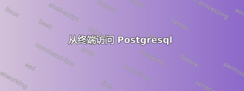 从终端访问 Postgresql