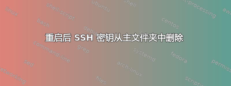 重启后 SSH 密钥从主文件夹中删除
