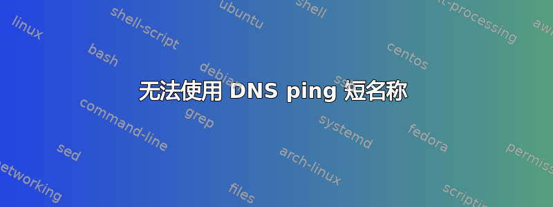 无法使用 DNS ping 短名称