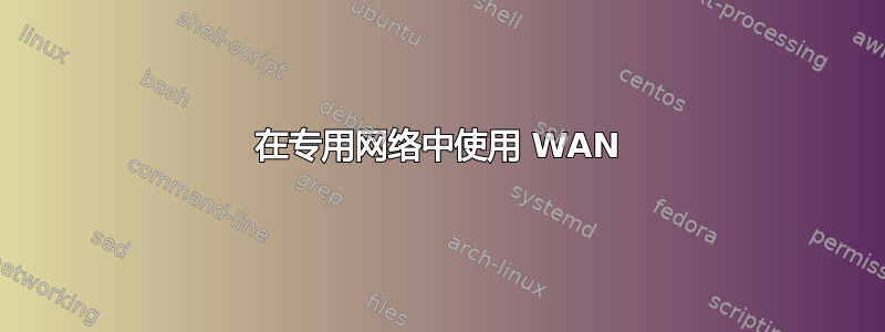 在专用网络中使用 WAN