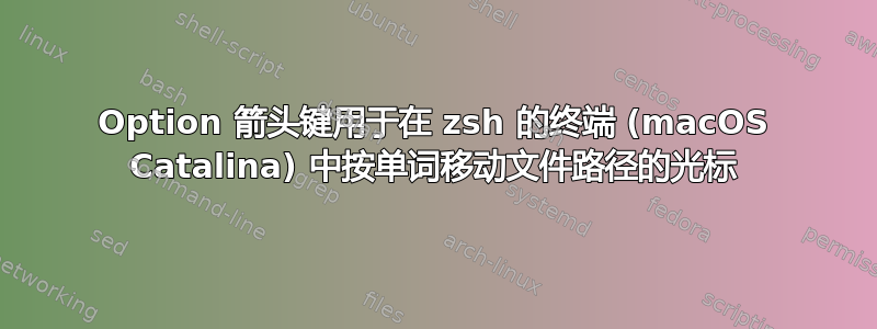 Option 箭头键用于在 zsh 的终端 (macOS Catalina) 中按单词移动文件路径的光标