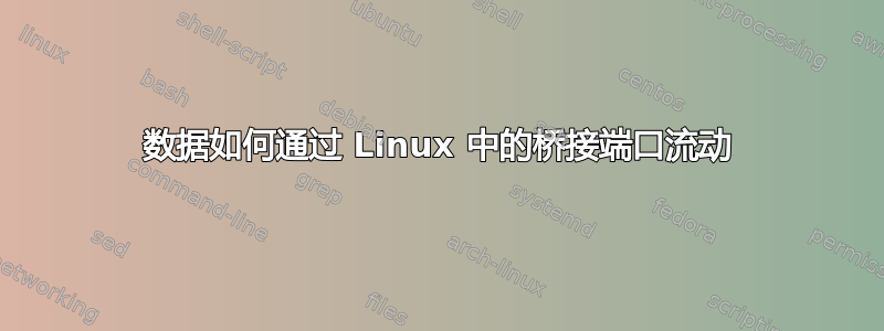 数据如何通过 Linux 中的桥接端口流动