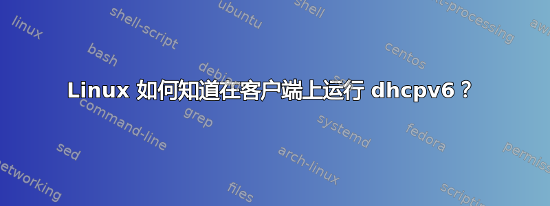 Linux 如何知道在客户端上运行 dhcpv6？