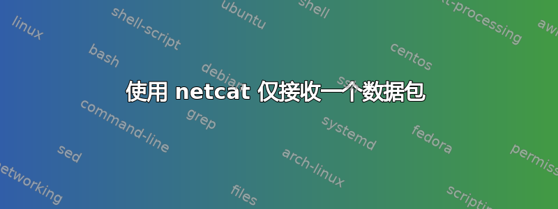 使用 netcat 仅接收一个数据包