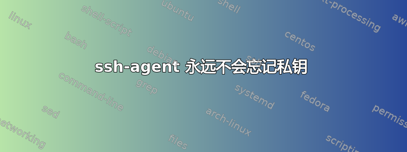 ssh-agent 永远不会忘记私钥