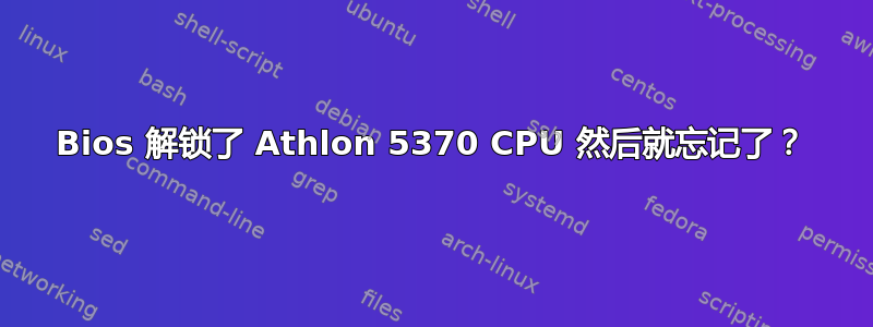 Bios 解锁了 Athlon 5370 CPU 然后就忘记了？