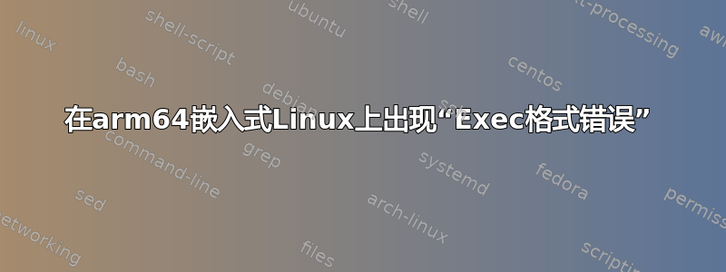 在arm64嵌入式Linux上出现“Exec格式错误”